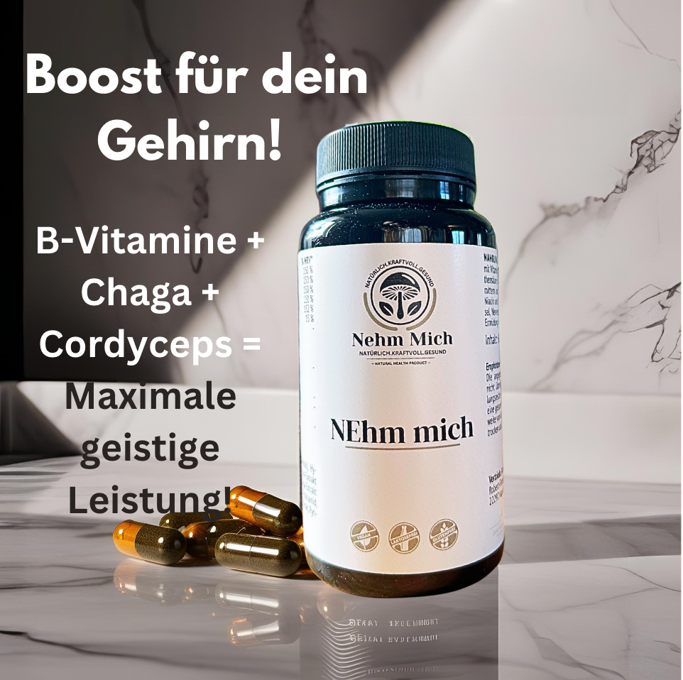 Gedächtnis Leistung Complex: Cordyceps, Hericium und Chaga